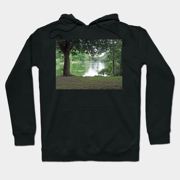 Tranquil Lake Hoodie by pinkal